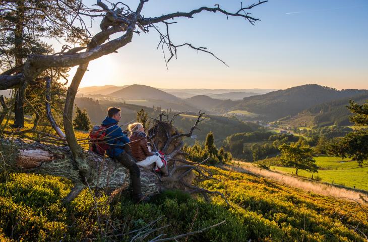 Ausblick in die Natur des Sauerland