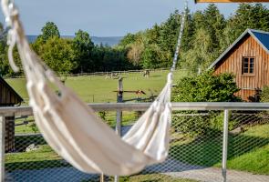 Nest mit Hängematte