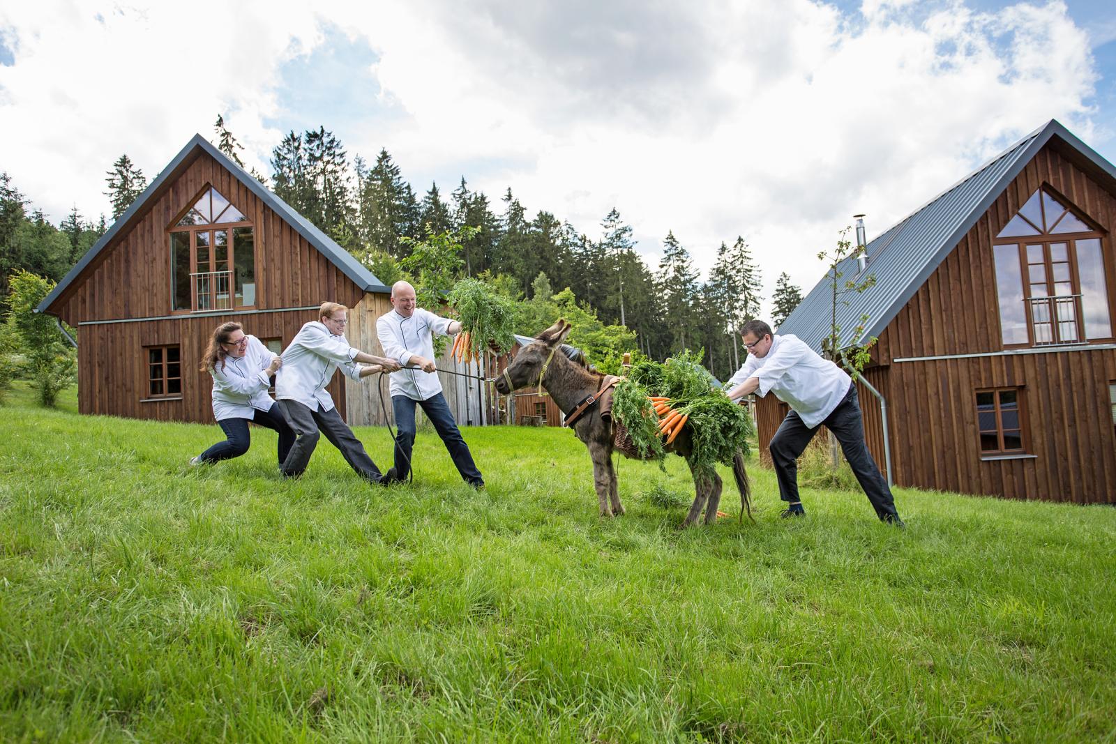 Lebensqualität im Bergdorf LiebesGrün in Schmallenberg / Bergdorf ...