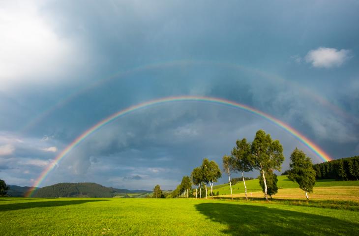Regenbogen in der Natur im Schmallenberger Sauerland