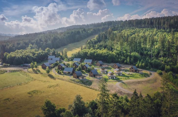 Dorfansicht im Sommer mit Wald und Natur