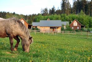 Wiesen umgeben die Berghütten im Liebesgrün. Pferde grasen auf der Koppel beim Bergdorf Liebesgrün.