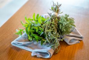 Frische Kräuter aus dem eigenen Kräutergarten Bündel mit grünen und frischen Kräutern