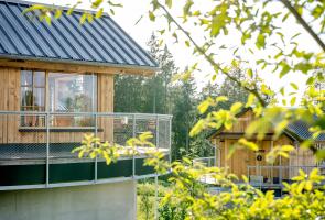 Nest Außen Nest Außen