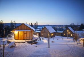 Nester in Schneelandschaft im Sauerland