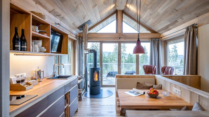 Einblick in Wohnbereich der Nester mit Kamin, einer Sitzecke und Sesseln