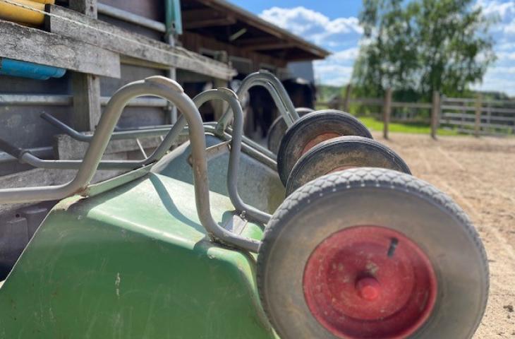 Familienzeit im Bergdorf mit Esel