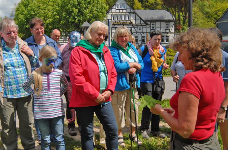 Naturerlebnisse bei einer Kräuterwanderung Einblick in eine Kräuterwanderung im Schmallenberger Sauerland