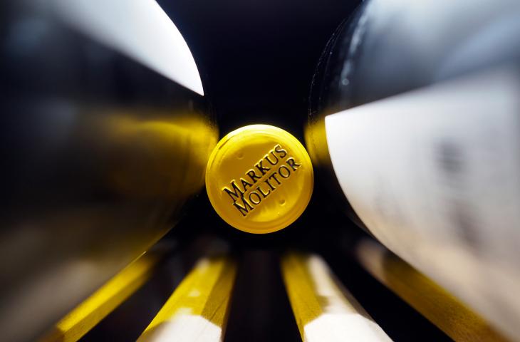 Weinflaschen im Regal aus dem Weingut Molitor