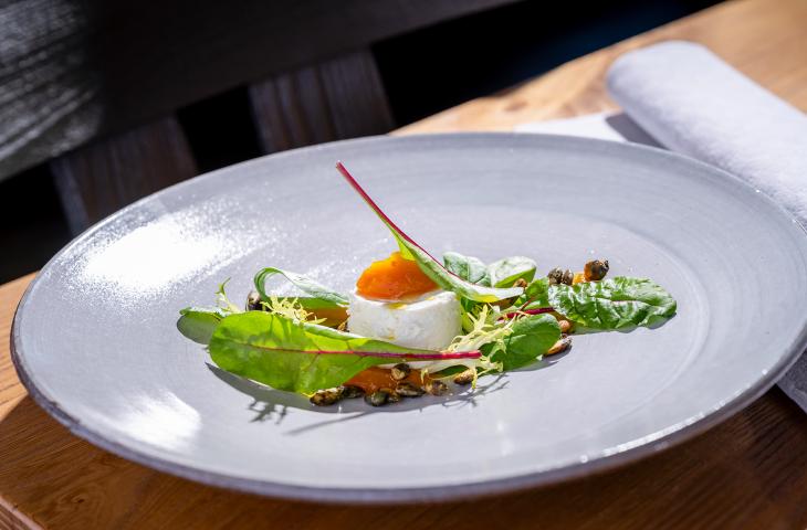 Vorspeise Slow Food Menü mit regionalen Ziegenfrischkäse, Kürbis und Salat