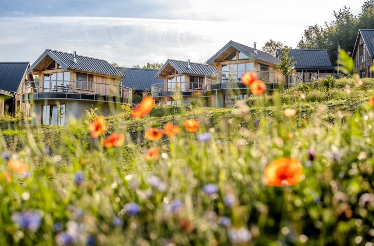 Hütten mit Wildblumenwiese