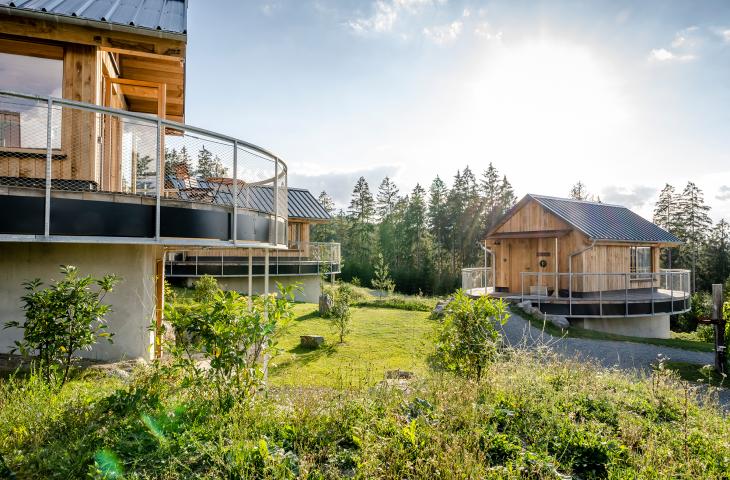 Nester Außen mit Sonne